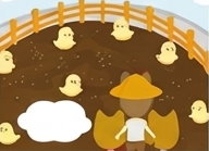 小小雞吃飼料
